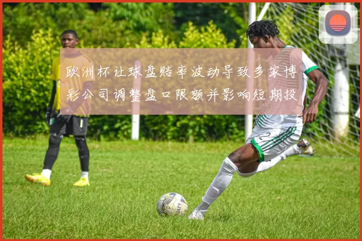 欧洲杯让球盘赔率波动导致多家博彩公司调整盘口限额并影响短期投注方向