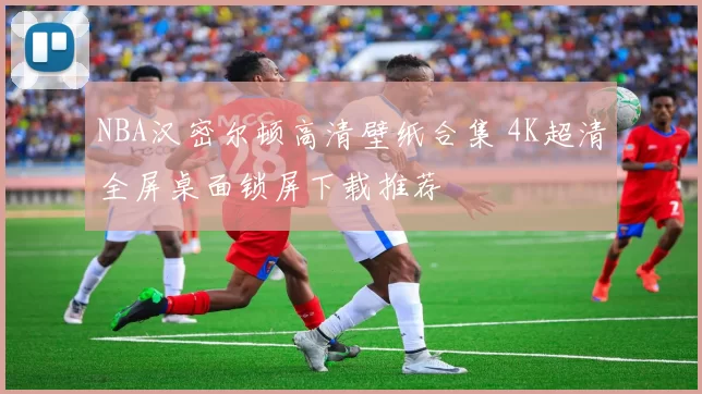 NBA汉密尔顿高清壁纸合集 4K超清全屏桌面锁屏下载推荐