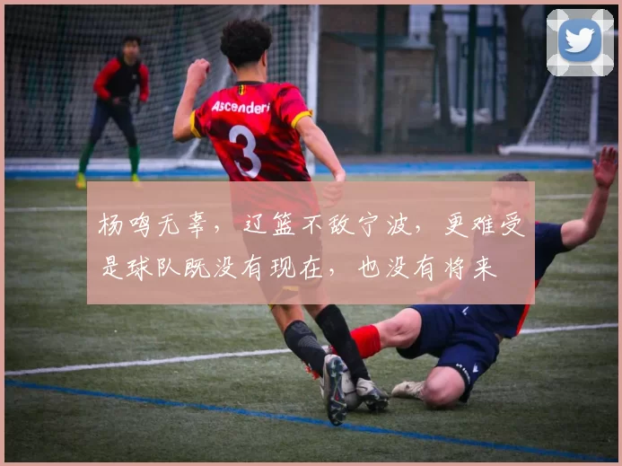 杨鸣无辜，辽篮不敌宁波，更难受是球队既没有现在，也没有将来