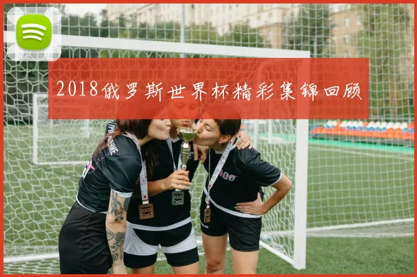 2018俄罗斯世界杯精彩集锦回顾
